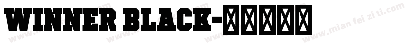 Winner Black字体转换